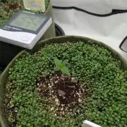 Low Budget Setup Test