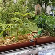 Fensterbank Projekt