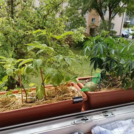 Fensterbank Projekt