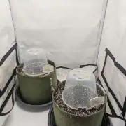 Low Budget Setup Test