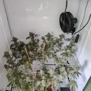 Fensterbank Projekt