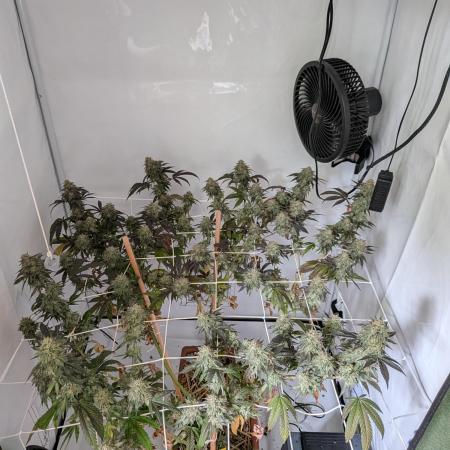 Fensterbank Projekt