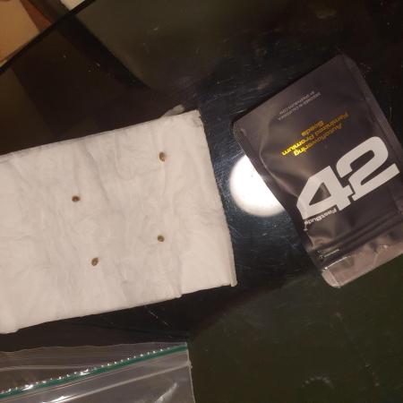 4x 42fastbuds mixed autoflower run#1