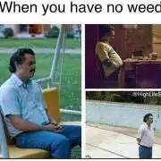 我的植物的时间