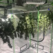 Northern lights