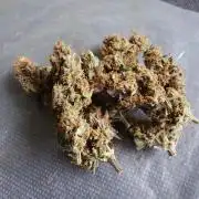 AA+BB+CC RF3 - AI-Grow