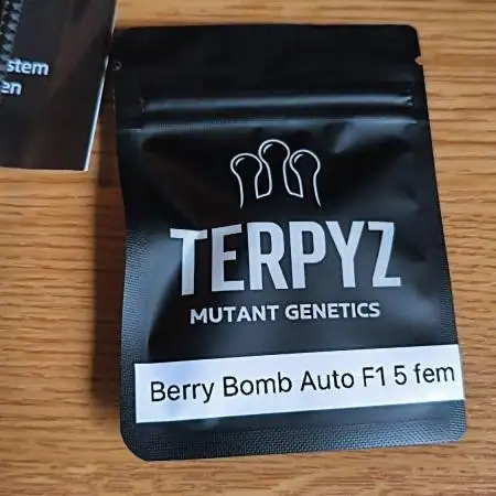 🍇Berry Bomb - F1🍓 Tester diary🍇