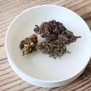 Purple Clouds