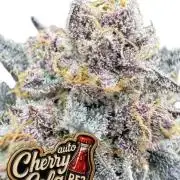 AA+BB+CC RF3 - AI-Grow