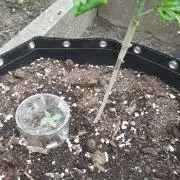 Granny´s Outdoor #1 - FB + Applestrudel