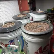 A Mostly Fastbuds Grow