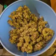 DWC 5 strains 👍🏻