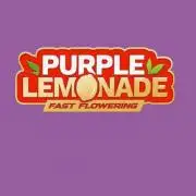 Purple Lemonade FF