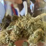 Gorilla Glue