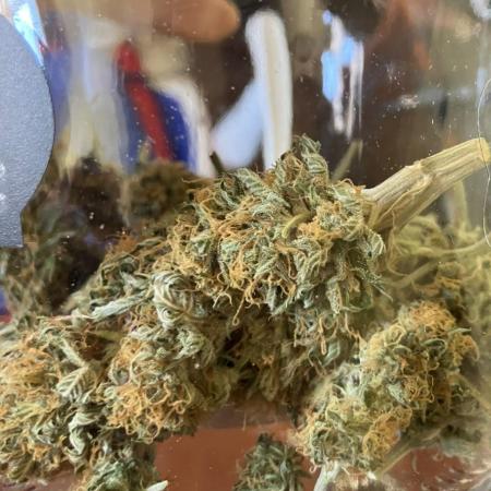 Gorilla Glue