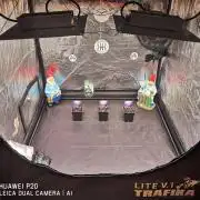 ETERNITY Grow Cup 2026