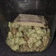 ACE once again. 3x Super Malawi Haze