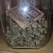Neville's Haze