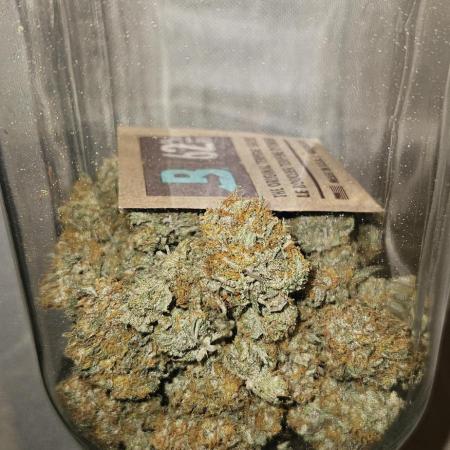 Green Poison SweetSeeds-ACE Zamaldelica