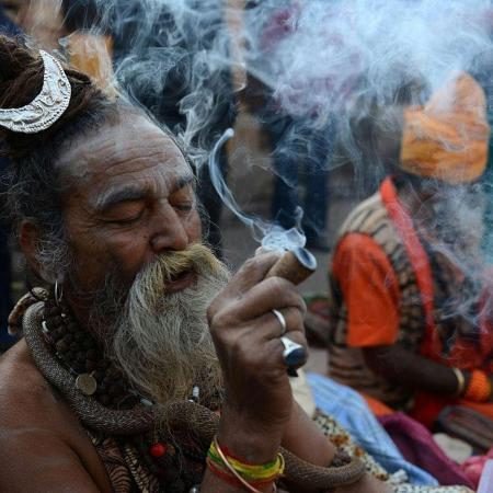 Sativa of Enlightenment