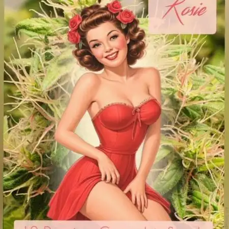 🥀 Rosie 🌹