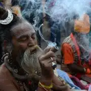 Sativa of Enlightenment