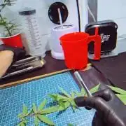 Hydro Clones | Superboof & Amnesia Haze