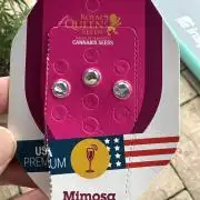 Balda RAS Mimosa I.