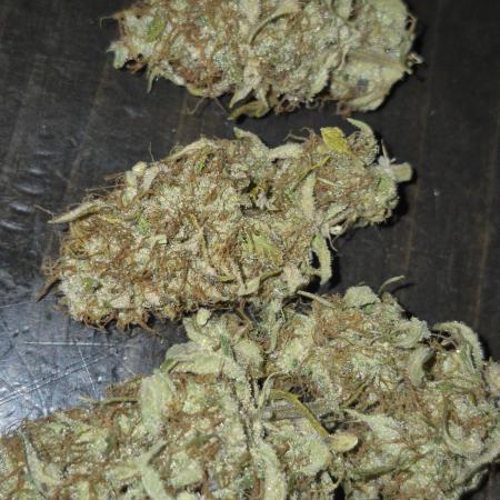 Weed seeds express first time