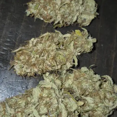 Weed seeds express first time