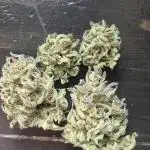 Ak auto xxl