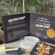 Nectar Drip (Zamnesia Seeds x TICAL)