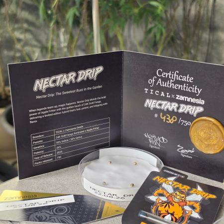 Nectar Drip (Zamnesia Seeds x TICAL)