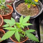 Painkiller XL (RQS) – Speedrun