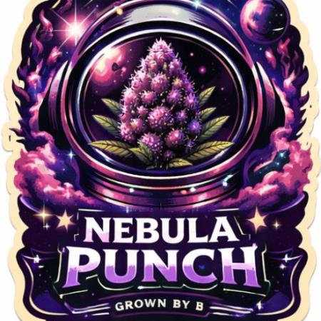 Nebula Punch Auto FrostFireSeeds