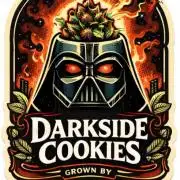 Darkside Cookies Auto Precursor Genetics