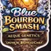Blue Bourbon Smash Auto Aeque Genetics