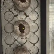 Cherry Poppers 🍒🍋