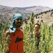 amnesia haze selecciΓ³n