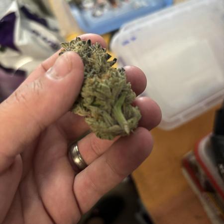 King a Chew