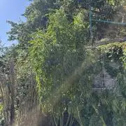 Outdoor