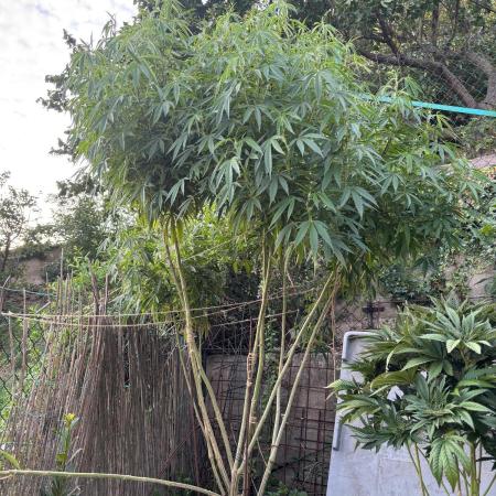 Outdoor