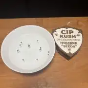 CIP KUSH