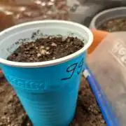 Gorilla Glue found in a bag