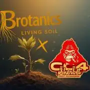 Brotanics Living Soil x GG4 Sherbet