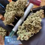 auto COOKIES