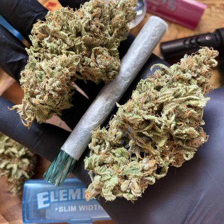auto COOKIES