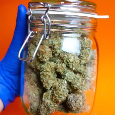 dream grow