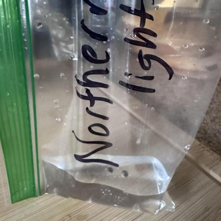 Northern Lights by Zamnesia