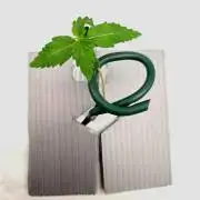 NFT Led Auto AK47 Serious Seeds